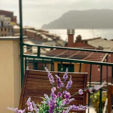 Solemagia *