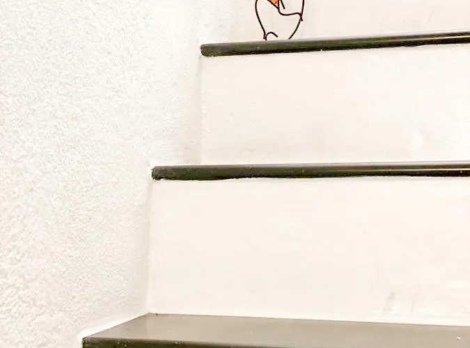 Solemagia